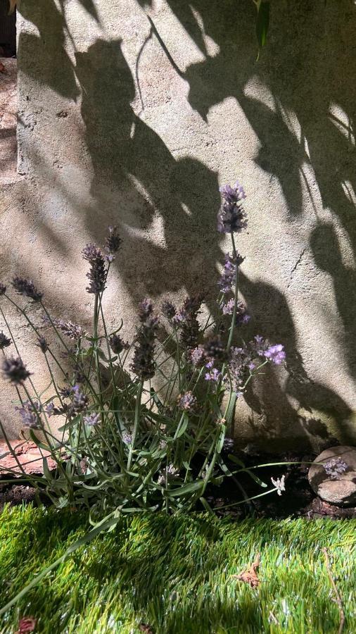 Garden Suite Bolzano Eksteriør billede
