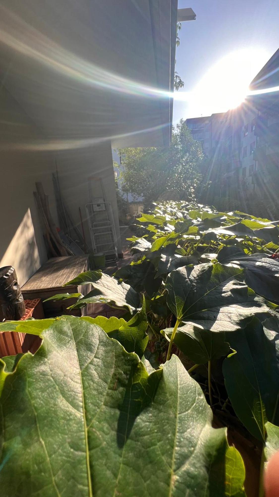 Garden Suite Bolzano Eksteriør billede