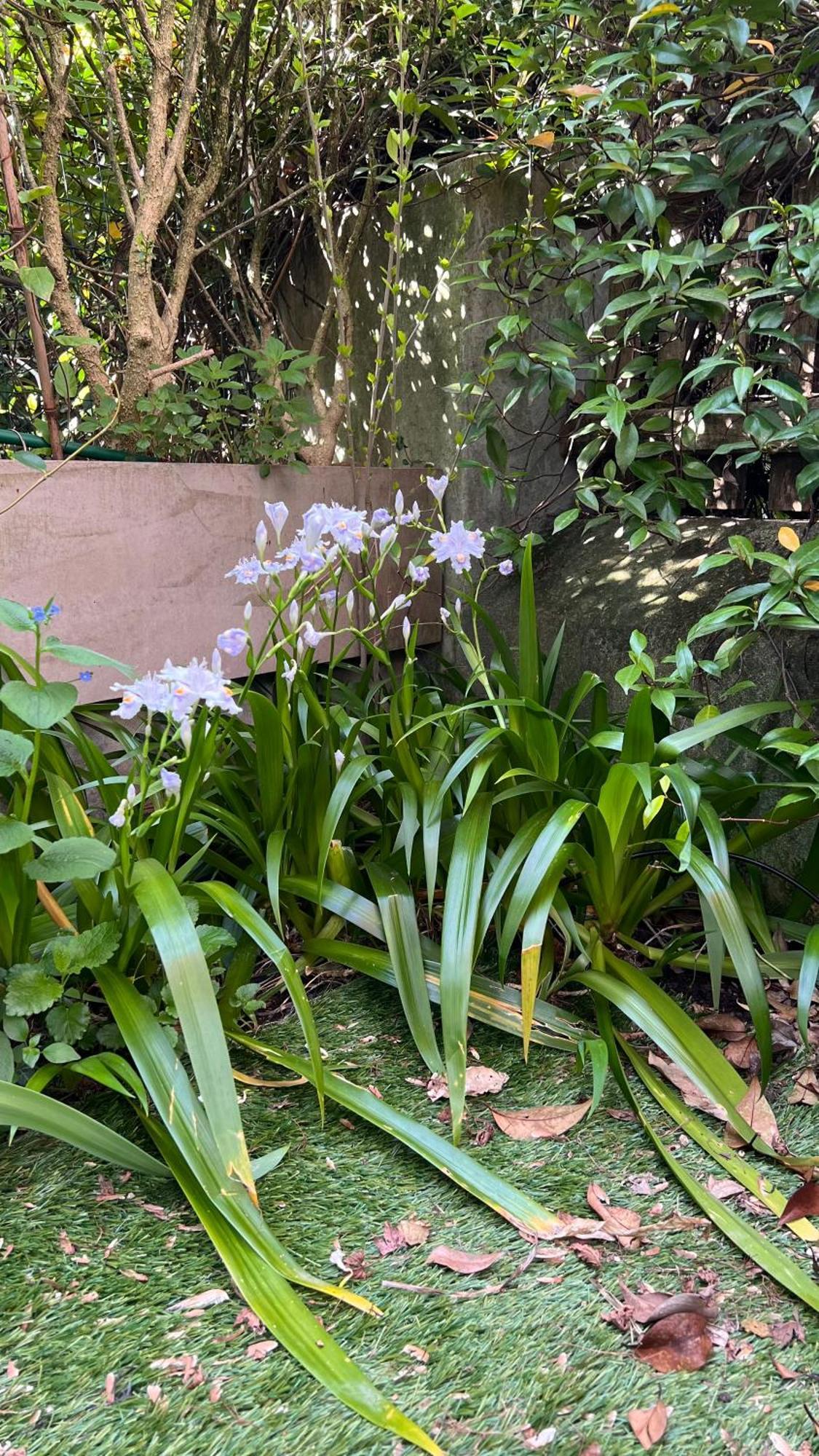 Garden Suite Bolzano Eksteriør billede