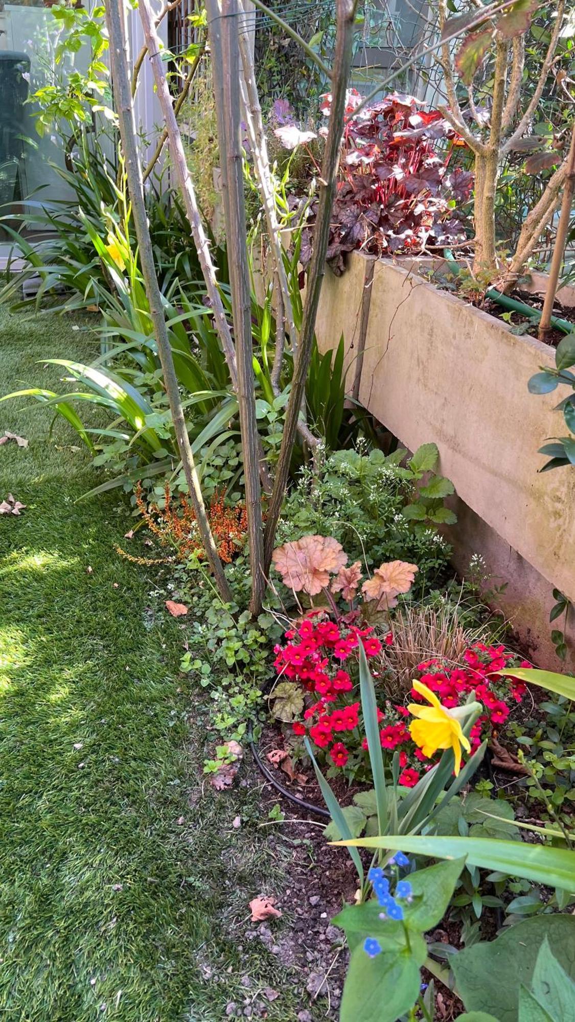 Garden Suite Bolzano Eksteriør billede